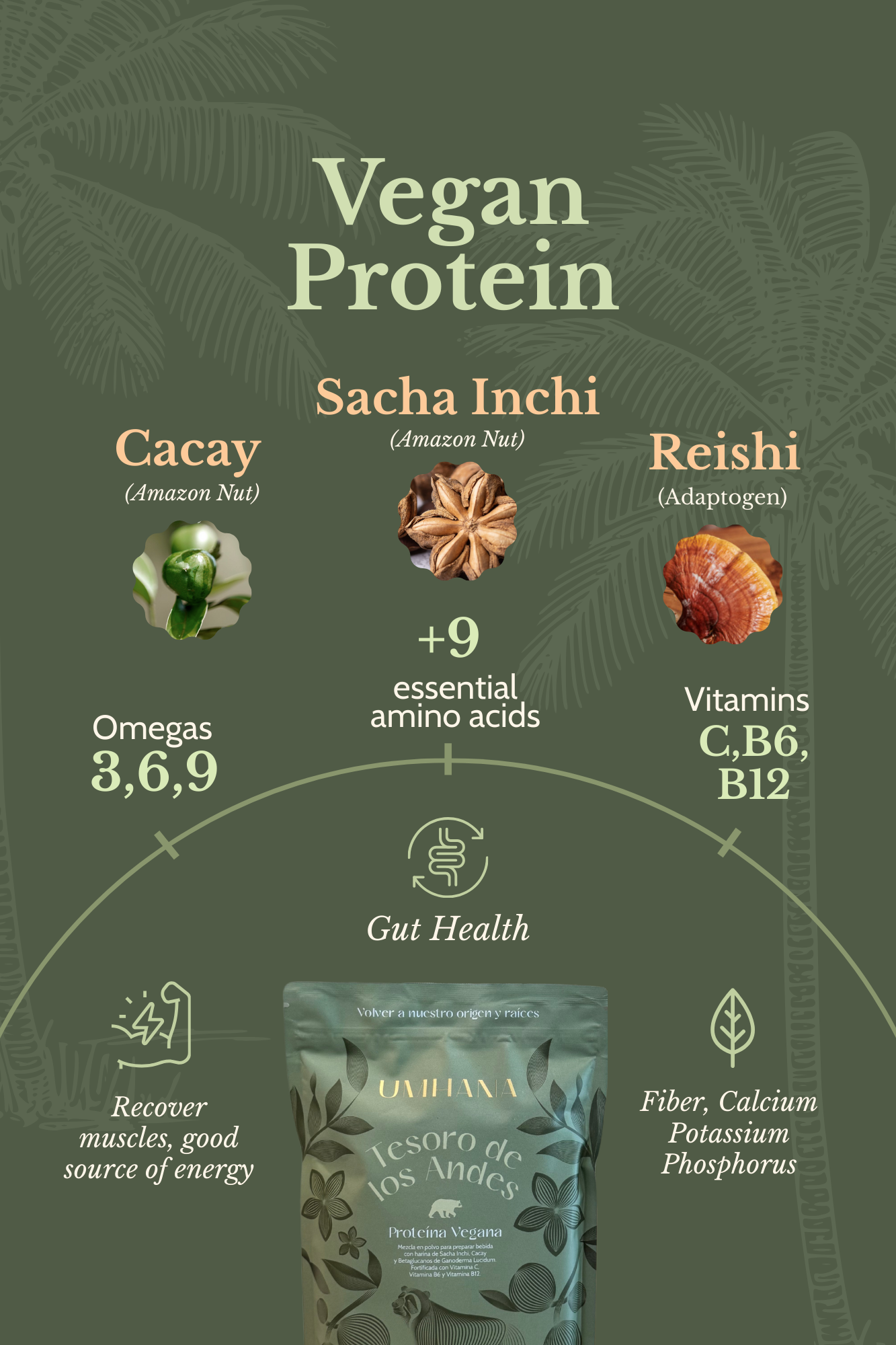 Vegan Protein: Treasure of the Andes